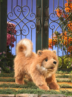 Pomeranian Puppy Hand Puppet