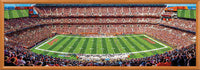Cleveland Browns NFL 1000pc Panoramic Puzzle