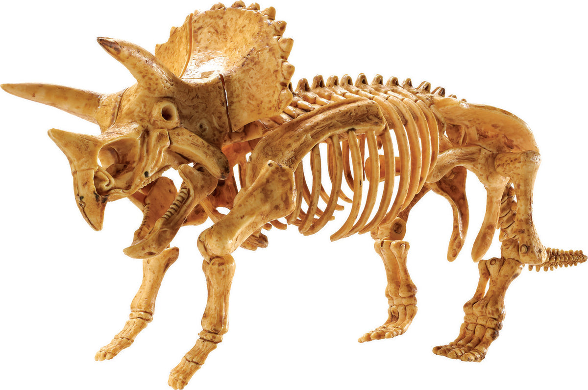 貴重レコード　TRICERATOPS/THE GREAT SKELETON'S ZY7LWABNKZLJBCNXQHL5H5KQCM.jpg