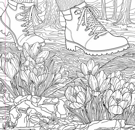 Wildflowers Adult Coloring Book (31 one-sided designs on thick paper)