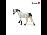 Arabian Mare