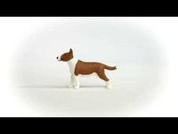 Bull Terrier