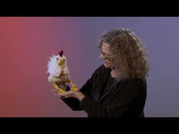 Chicken, Funky Hand Puppet