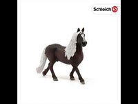 Black Forest Stallion