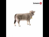 Braunvieh Cow