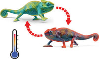 Chameleon