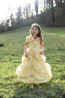 Once Upon a Princess Beauty Dress (Size 2-3)