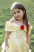 Once Upon a Princess Beauty Dress (Size 2-3)