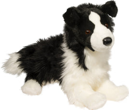 Chase Border Collie