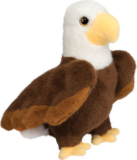 Windy Eagle