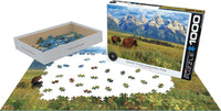HDR Photography Puzzles - Grand Teton National Park Photography by Steve Hinch