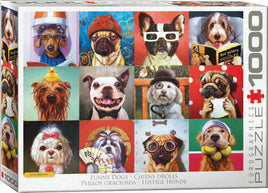 Funny Animals Puzzles - Funny Dogs by Lucia Heffernan