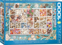 Laura's Seashell Collection