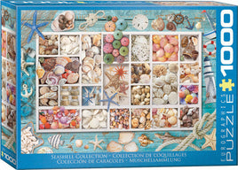 Laura's Seashell Collection