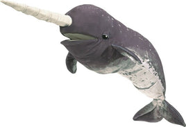 Narwhal