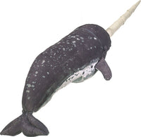 Narwhal