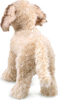 Labradoodle