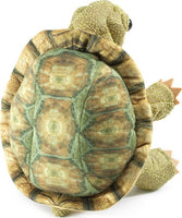 Tortoise, Standing