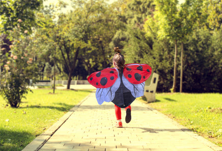 Red Dress-up Ladybug Wings