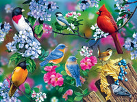 Audubon - Songbird Collage 300 Piece EZ Grip Puzzle