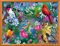 Audubon - Songbird Collage 300 Piece EZ Grip Puzzle