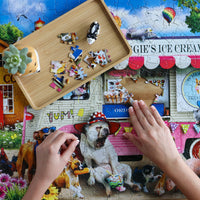 Wild and Whimsical - Iggy's Ice Cream 300 Piece EZ Grip Puzzle