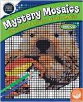Cbn: Mystery Mosaic: Book 5