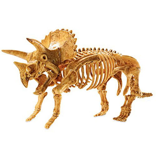 Dig It up! Triceratops| Toyrifix