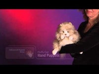 Cat, Fluffy Hand Puppet