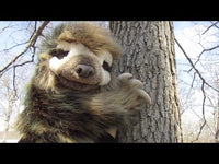 Folkmanis Three-Toed Sloth