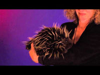 Porcupine Hand Puppet