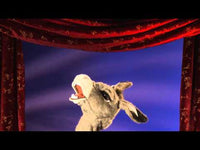 Donkey Stage Puppet Stage Puppet