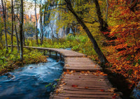Autumnal Wooden Trail 1000 Pc Puzzle