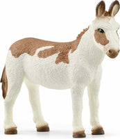 American Spotted Donkey