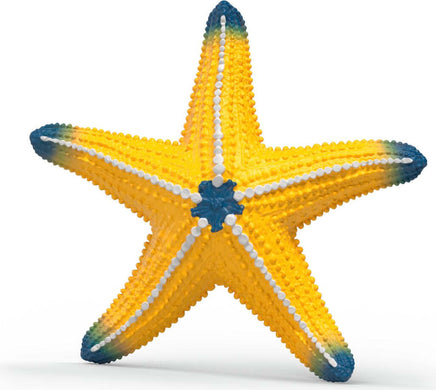 Starfish (color change) Animal Toy Figurine