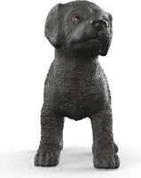 Black Labrador Retriever Puppy
