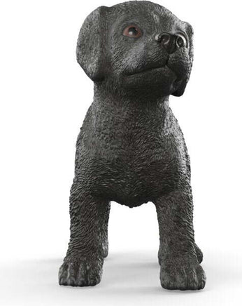 Black Labrador Retriever Puppy