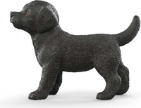 Black Labrador Retriever Puppy
