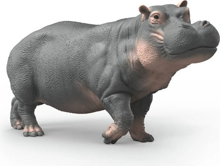 Hippopotamus
