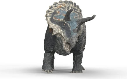 Triceratops