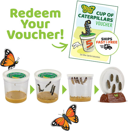 The Original Butterfly Garden Life Cycle Kit: with Prepaid Voucher