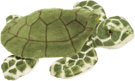 Douglas Toti Sea Turtle